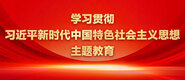 www.欧美操逼学习贯彻习近平新时代中国特色社会主义思想主题教育_fororder_ad-371X160(2)